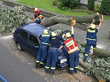 THW Einsatzkräfte bei der Freilegung eines PKW unter einem Baumstamm